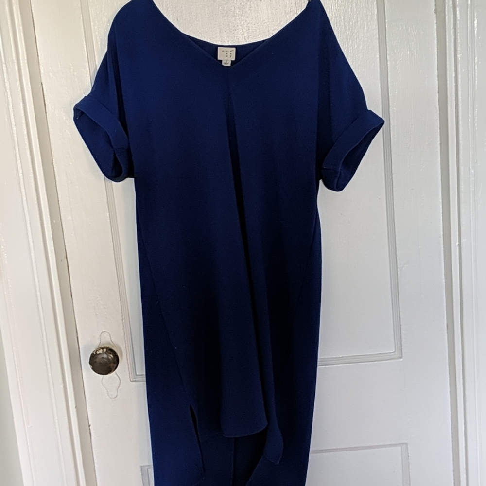 Roy blue a new day shift dress